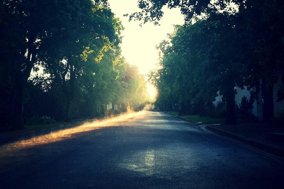 Officiis veritatis dolorem in sint